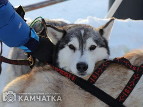 Открытие гонки 