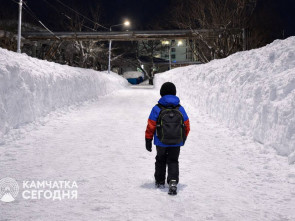В Петропавловске-Камчатском продлили дистанционное обучение