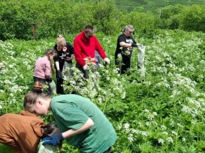 Камчатские Озерновские ключи привели в порядок местные жители 5