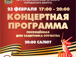 Камчатка отметит День защитника Отечества праздничным салютом