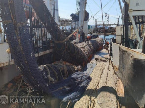 Камчатка открыла охотоморскую путину