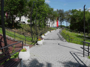 В камчатской столице проводят санитарную обработку деревьев 2