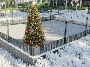 В парке «Электрон» на Камчатке построят веревочный парк и арт-галерею
