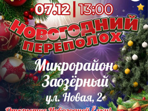 В столице Камчатки откроются еще две новогодние елки