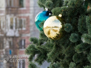 В столице Камчатки отменили открытие новогодней елки