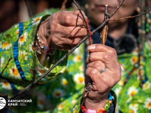 «Хололо» завершился в Елизовском округе и продолжится в Петропавловске-Камчатском