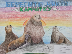 На Камчатке наградили победителей конкурса детского рисунка о дикой природе 1