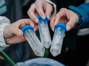 Энтомологическую коллекцию Паратунки создают на форуме &laquo;Экосистема&raquo; на Камчатке 0