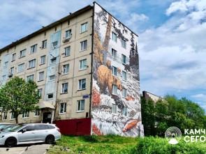 В Петропавловске-Камчатском продолжается фестиваль уличного искусства 0