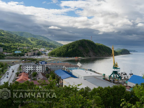В Петропавловске-Камчатском началось общественное обсуждение визуального облика краевой столицы