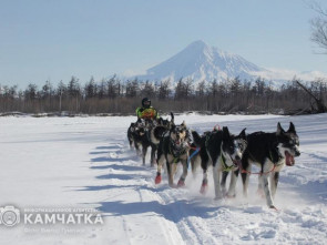 Каюры 