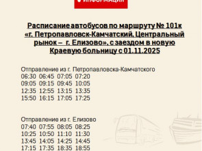 На Камчатке запустят микроавтобусы №101к через новую краевую больницу 0