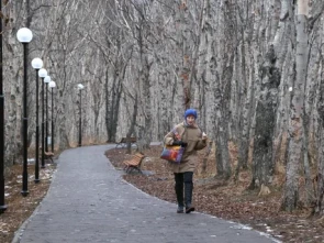 ​Протесты жителей Петропавловска-Камчатского услышаны: вместо жилых домов появится сквер